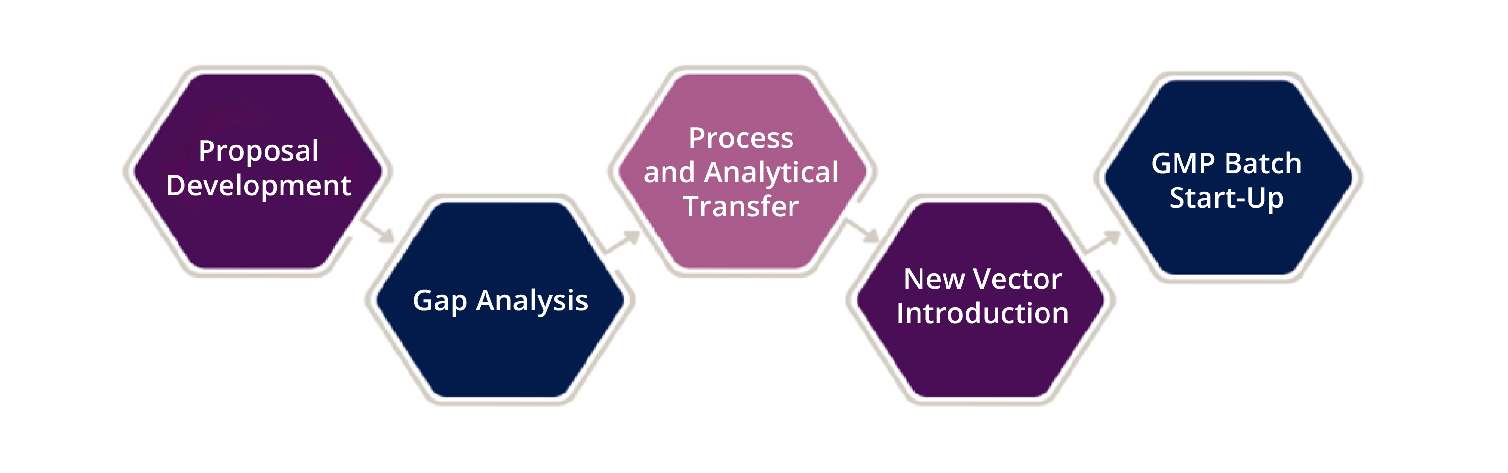 Cross-Border Technology Transfer for Viral-Vector Manufacturing