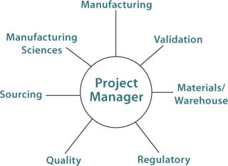 Strategies for Implementing a BPC in Commercial Biologics Manufacturing