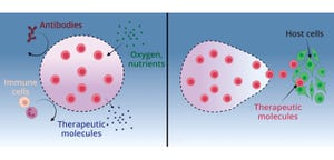hydrogels as cell encapsulants