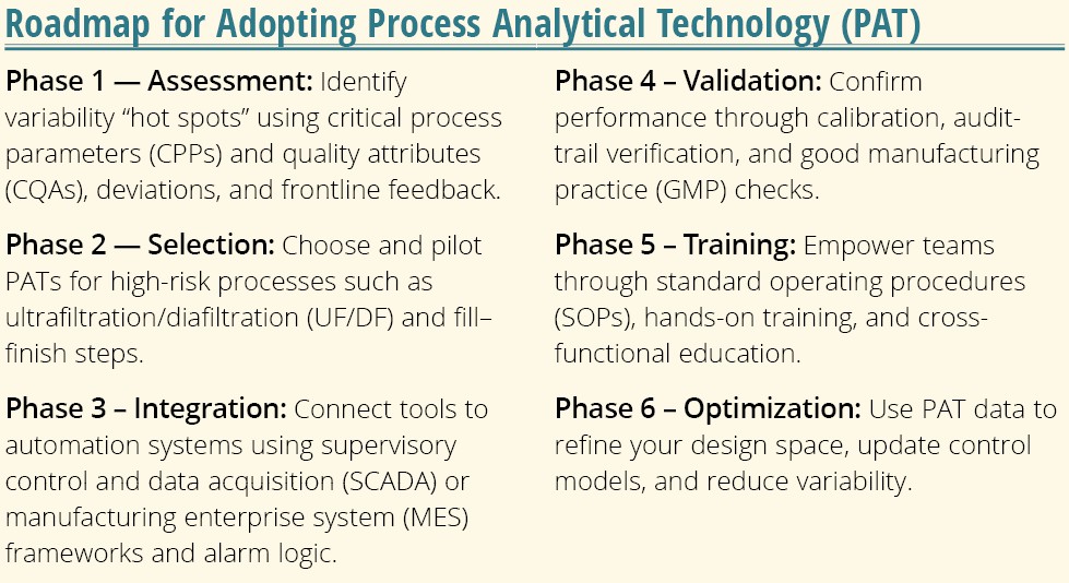 Exploring PAT for Real-Time Bioprocess Control