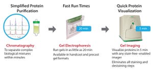 Enabling Faster Workflows with Protein Purification Technologies: Improvements in Chromatography and Electrophoresis