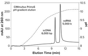 CIMmultus PrimaS: The Next-Generation Anion Exchanger for Today’s mRNA-Based Vaccines