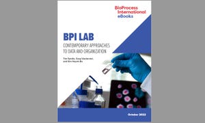 eBook: BPI Lab &mdash; Contemporary Approaches to Data and Organization