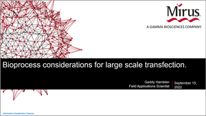 Bioprocess Considerations for Large Scale Transfection