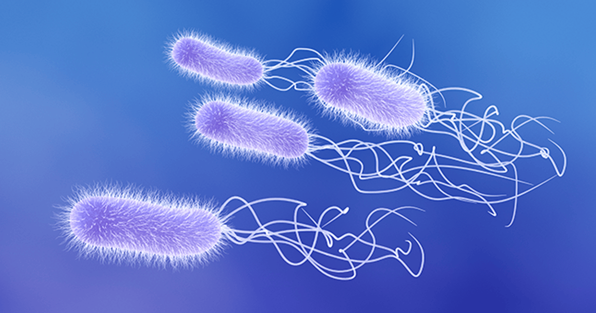 A Precision Purification Technology for Microbial Biologics
