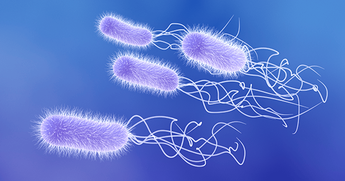 Microbiy Shell A Precision Purification Technology for Microbial Biologics