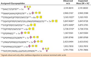 Site-Specific Characterization of Glycosylation on Protein Drugs