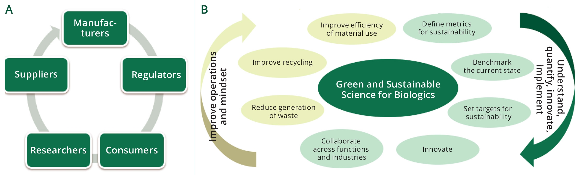 image not described image