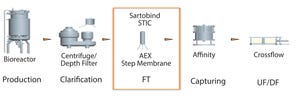 Establishing Effective High-Throughput Contaminant Removal with Membrane Chromatography