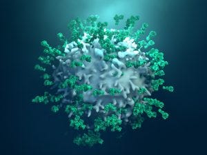 antibodies-Design-Cells-300x225.jpg