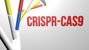 CRISPR-Cas9-Premium_shots-300x169.jpg