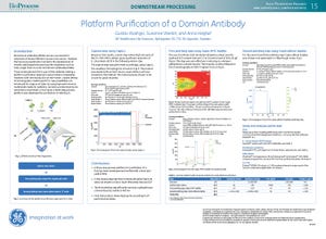 Platform Purification of a Domain Antibody