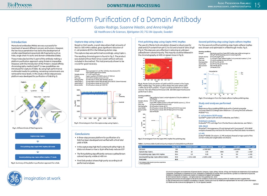 Platform Purification of a Domain Antibody