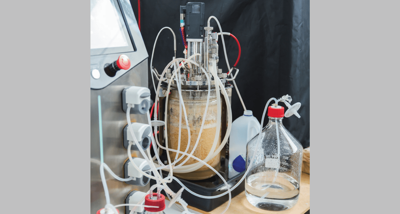 Bioreactor Layout Bioreactor Design Principles and Insights