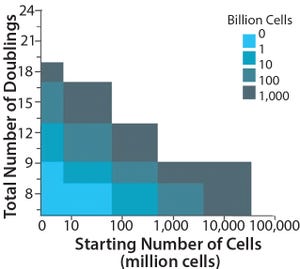 Designing the Optimal Manufacturing Strategy for an Adherent Allogeneic Cell Therapy