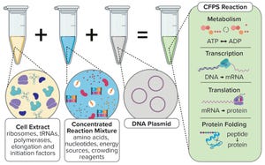 Toward a Roadmap for Cell-Free Synthesis in Bioprocessing