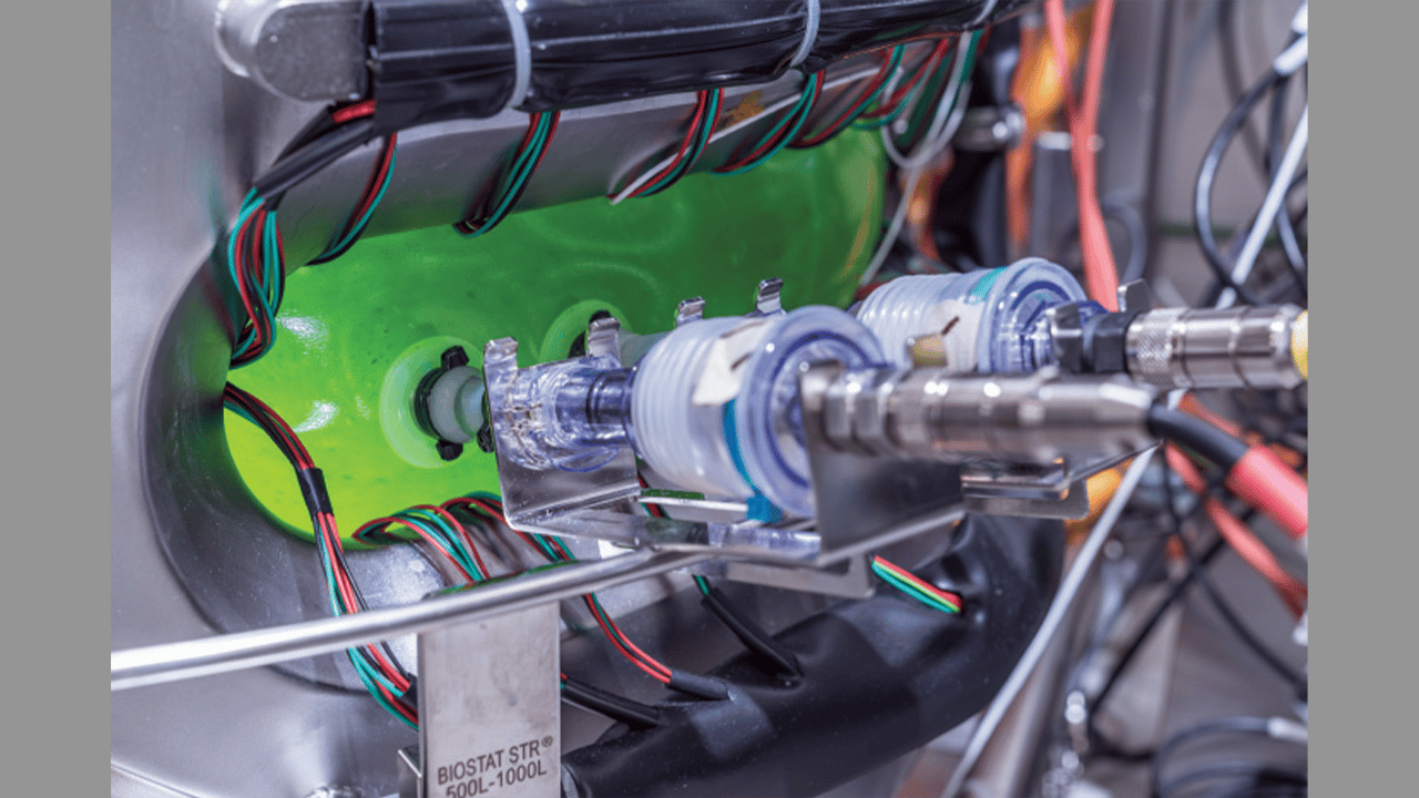 Process Development recent news | BioProcess International