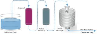 ChromaSorb™ Single-Use Membrane-Based Anion Exchanger