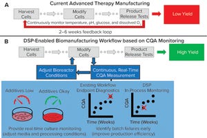 Improving Cell Manufacturing Outcomes Using In-Line Biomarker Monitoring