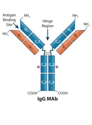 Therapeutic IgG-Like Bispecific Antibodies: Modular Versatility and Manufacturing Challenges, Part 1
