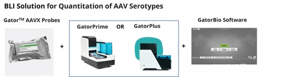 Gator<sup>TM</sup> AAVX Probes for Rapid and Label-free Quantitation of AAV Serotypes