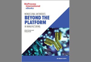 Monoclonal Antibodies: Beyond the Platform in Manufacturing