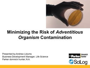 Implementing a Risk-Management Based Approach to the Prevention of Mycoplasma Contaminations (Video)