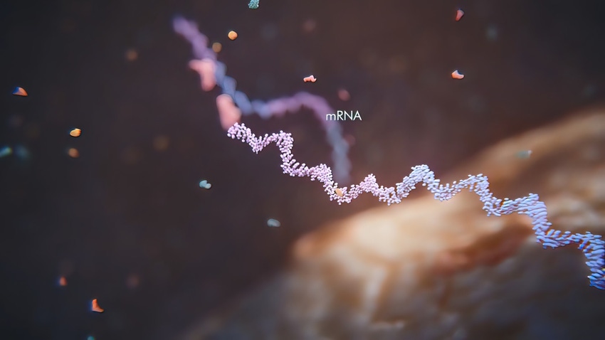 With €300m in hand, Normax looks to slash mRNA costs