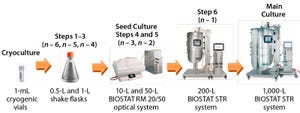 Verification of New Flexsafe STR Single-Use Bioreactor Bags: Using a CHO Fed-Batch Monoclonal Antibody Production Process at 1,000-L Scale