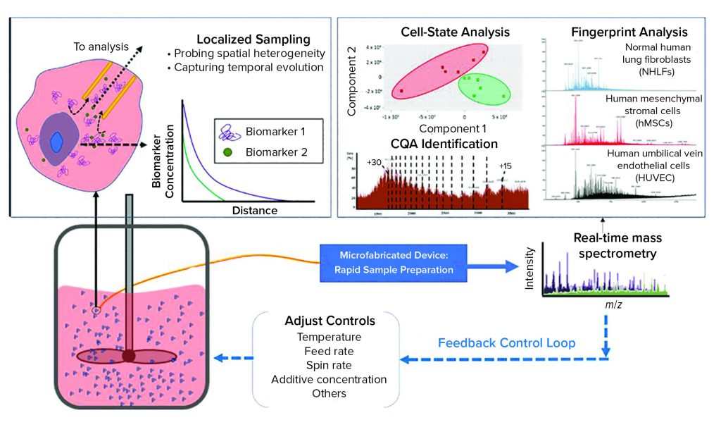 Biomarker Monitoring: Dynamic Sampling - BioProcess International