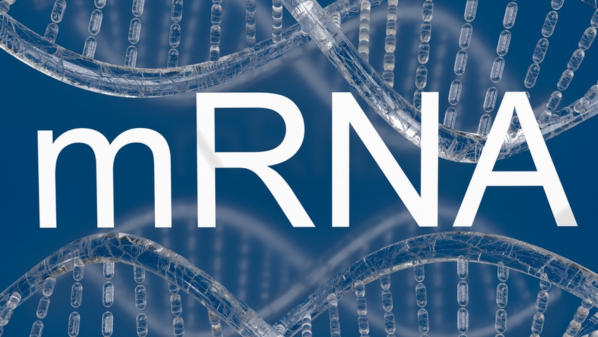 Kaneka injects $15m to expand mRNA capacity in Belgium