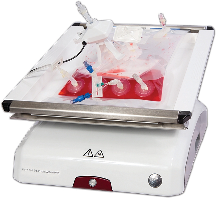 シシクイ　rib EURU All – SHISHIKUI