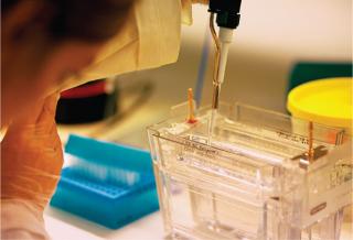 Robots in the Laboratory