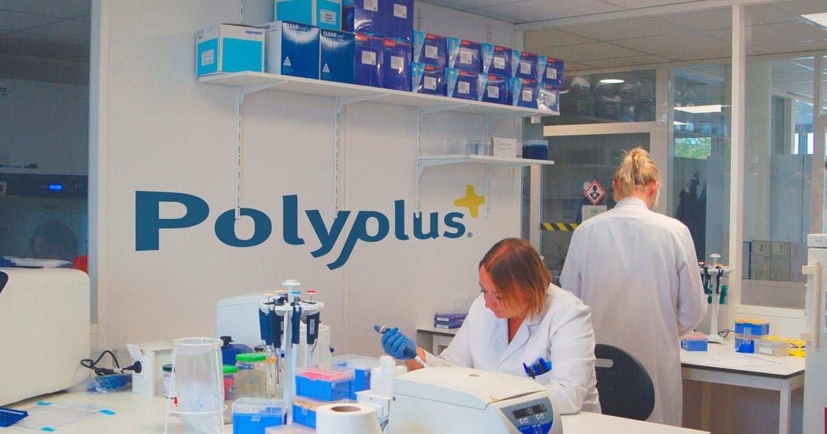 Polyplus Supplement Plasmid production a plus for Polyplus - BioProcess Insider