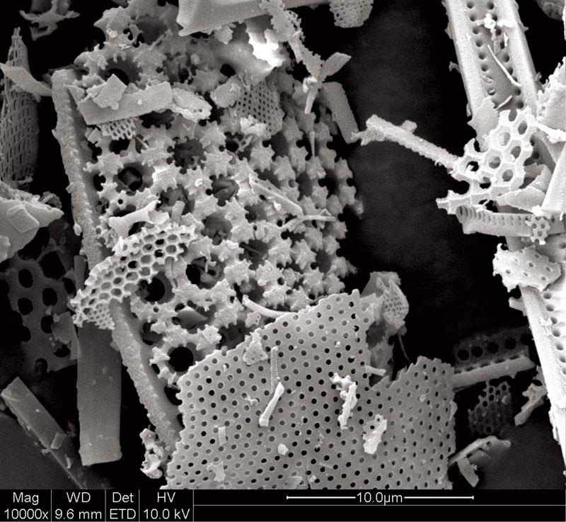 diatomaceous earth filtering