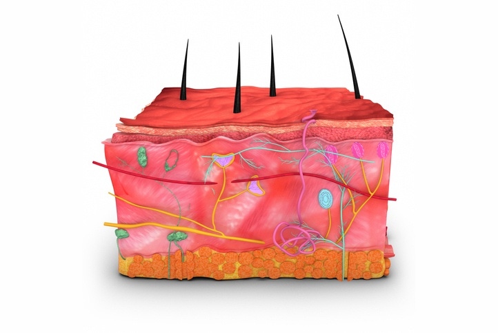 Halozyme eyes major drivers in Roche and Janssen subcutaneous approvals