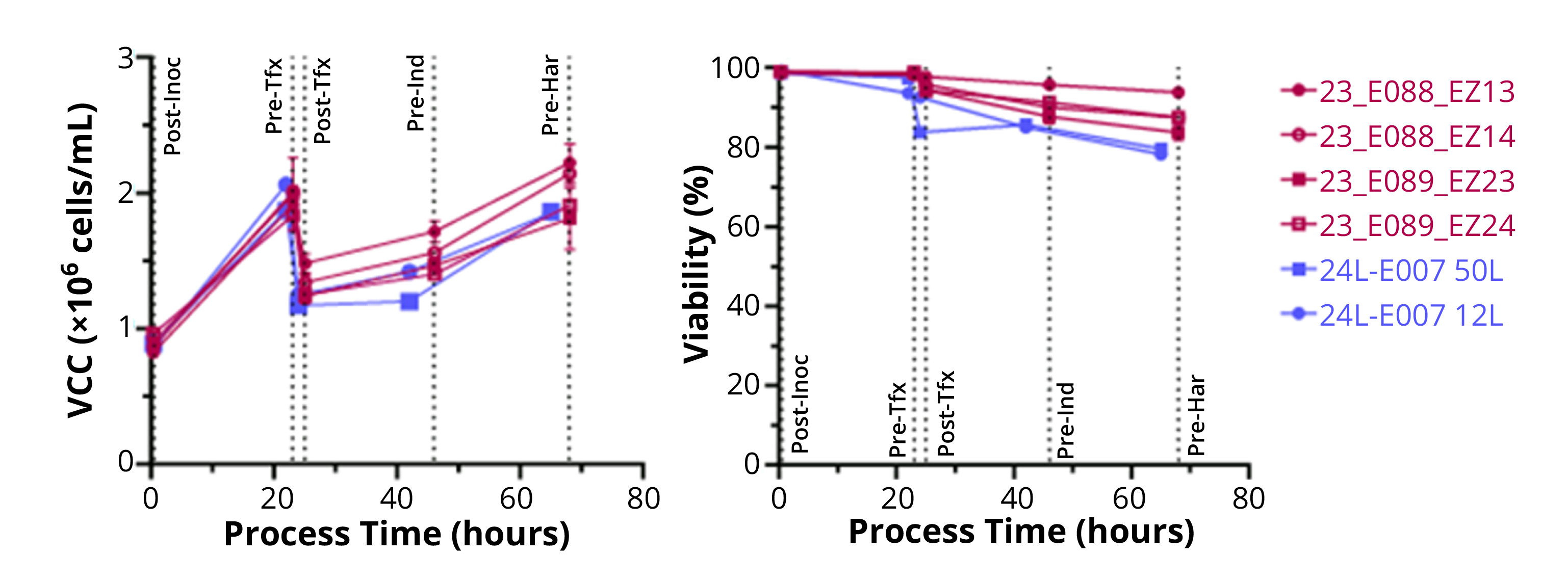 Cross-Border Technology Transfer for Viral-Vector Manufacturing
