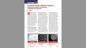 Scalable mRNA Affinity Capture: Supporting Development and Production of mRNA-Based Therapeutics