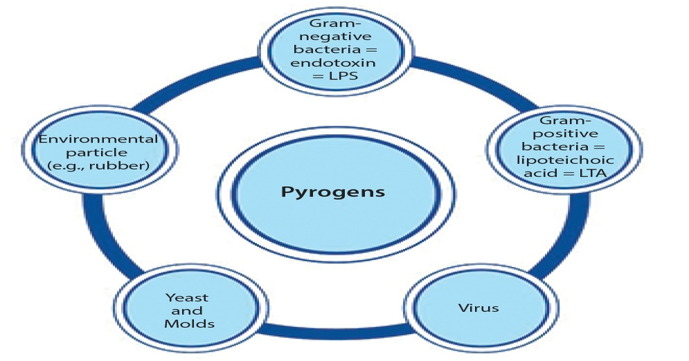 Pyrogen Detection with Human Whole-Blood Monocyte Activation Test