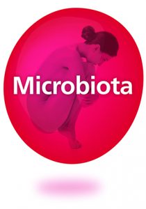 Microbiota_BallRGB-210x300.jpg