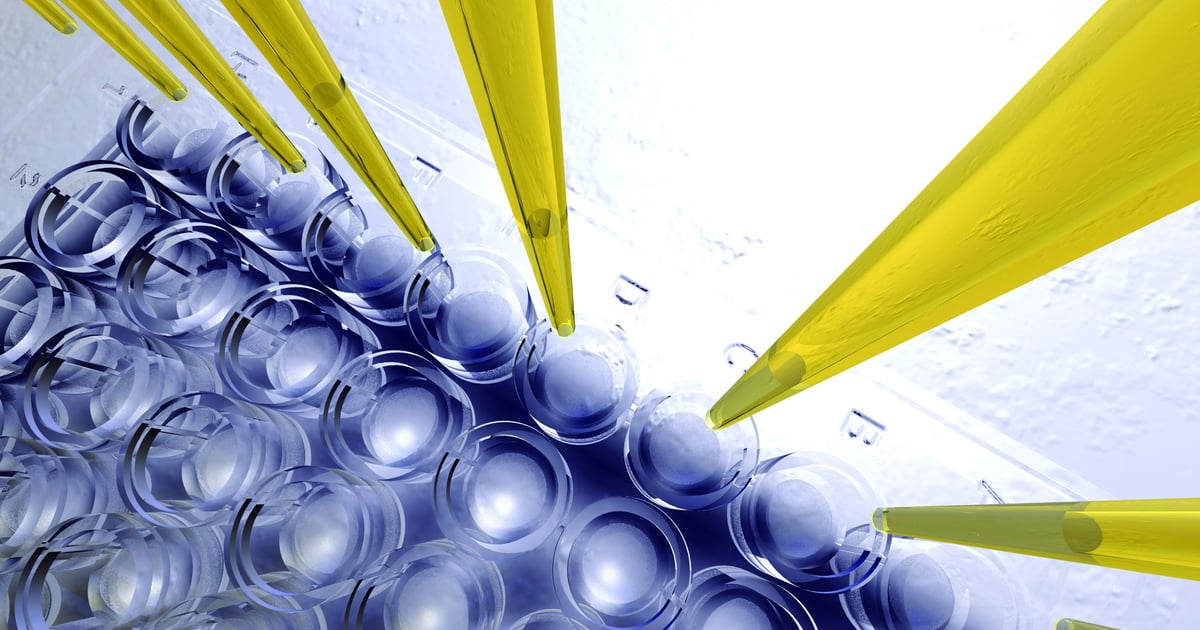 Best Practices for Bioassay Development - BioProcess International