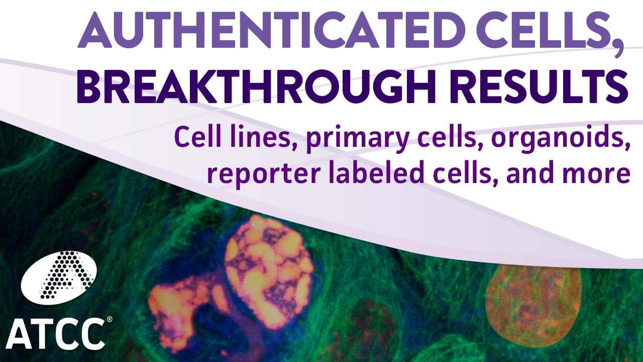 Authenticated Cells, Breakthrough Results
