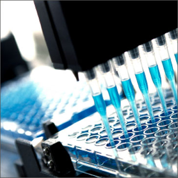 Considering Cell Culture Automation in Upstream Bioprocess Development