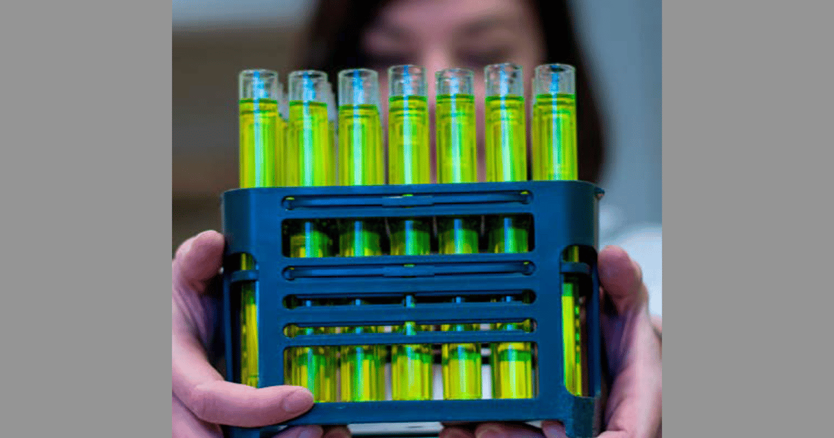 Interoperability Challenges in Biomanufacturing