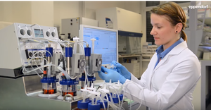 Culture of 3D Cell Aggregates in Perfusion in a DASbox® Mini Bioreactor System