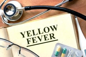 yellow-fever-designer491-300x200.jpg