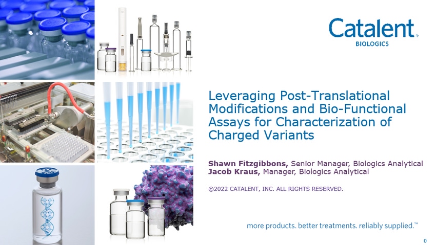 Leveraging Post-Translational Modifications and Bio-Functional Assays for Characterization of Charged Variants