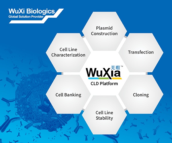 Keys to Establishing a Robust Mammalian Cell Line Development (CLD) Platform