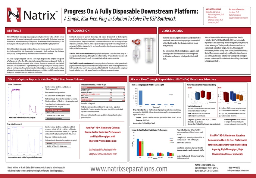 Progress On A Fully Disposable Downstream Platform: A Simple, Risk-Free, Plug-in Solution To Solve The DSP Bottleneck