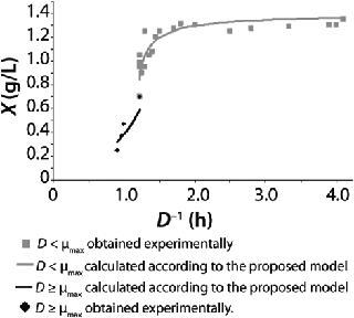 A New Kinetic Structured Model for Cell Cultivation in a Chemostat
